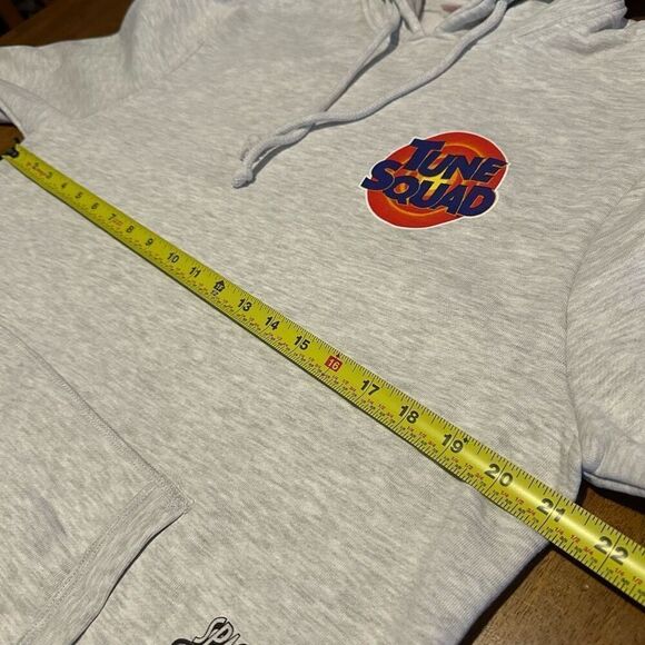 Mitchell & Ness X Space Jam A New Legacy Tune Squad Hoodie Gray Sweater Lola L - Picture 9 of 11